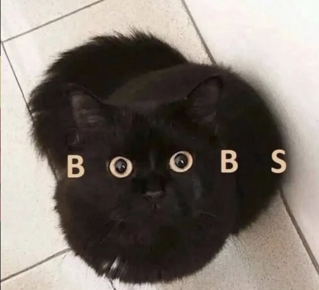 Black cat artwork